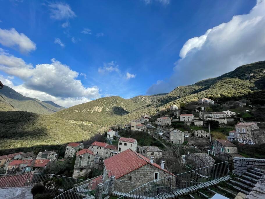 Casa Arena Authentique Maison De Village Avec Piscine Au Coeur De L'Alta Rocca - Zoza Extérieur photo