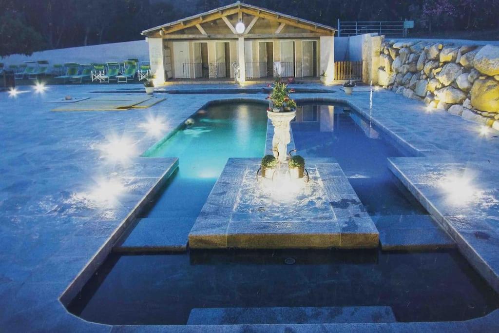 Casa Arena Authentique Maison De Village Avec Piscine Au Coeur De L'Alta Rocca - Zoza Extérieur photo