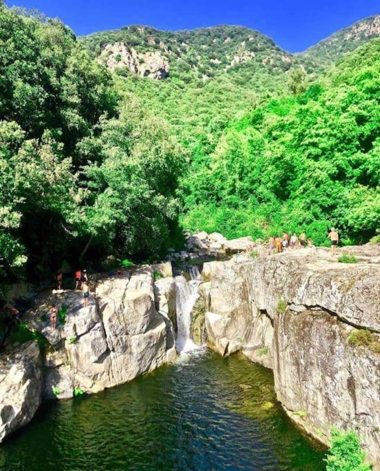 Casa Arena Authentique Maison De Village Avec Piscine Au Coeur De L'Alta Rocca - Zoza Extérieur photo