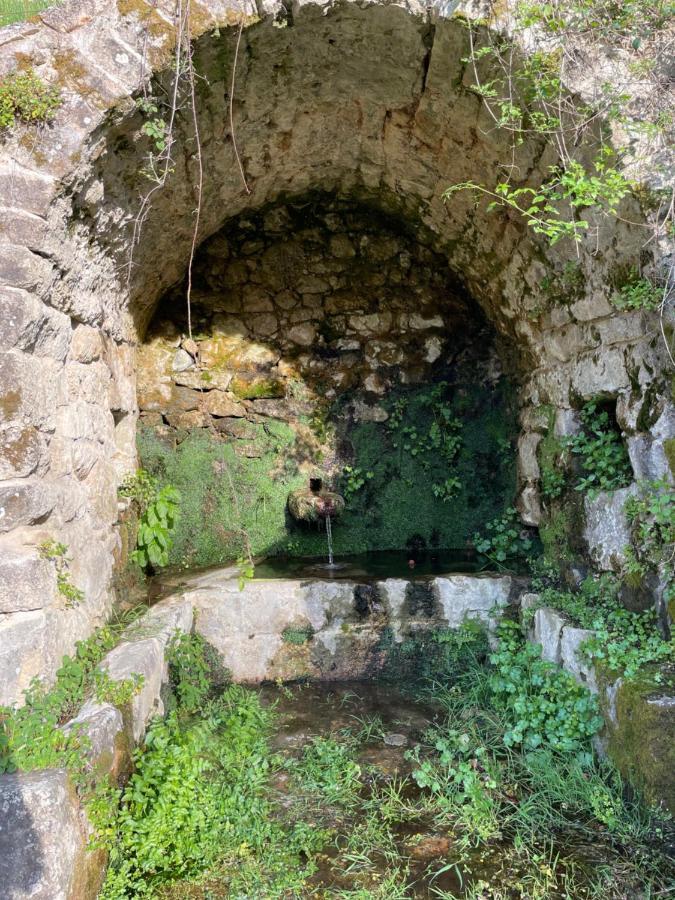 Casa Arena Authentique Maison De Village Avec Piscine Au Coeur De L'Alta Rocca - Zoza Extérieur photo