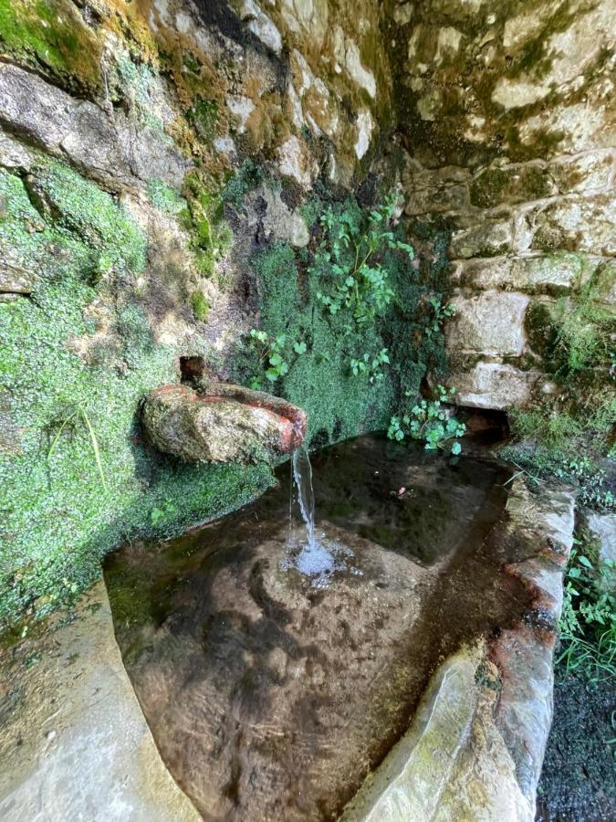 Casa Arena Authentique Maison De Village Avec Piscine Au Coeur De L'Alta Rocca - Zoza Extérieur photo