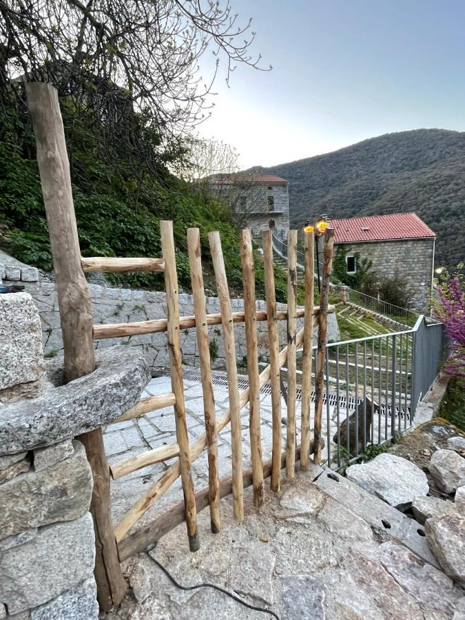 Casa Arena Authentique Maison De Village Avec Piscine Au Coeur De L'Alta Rocca - Zoza Extérieur photo