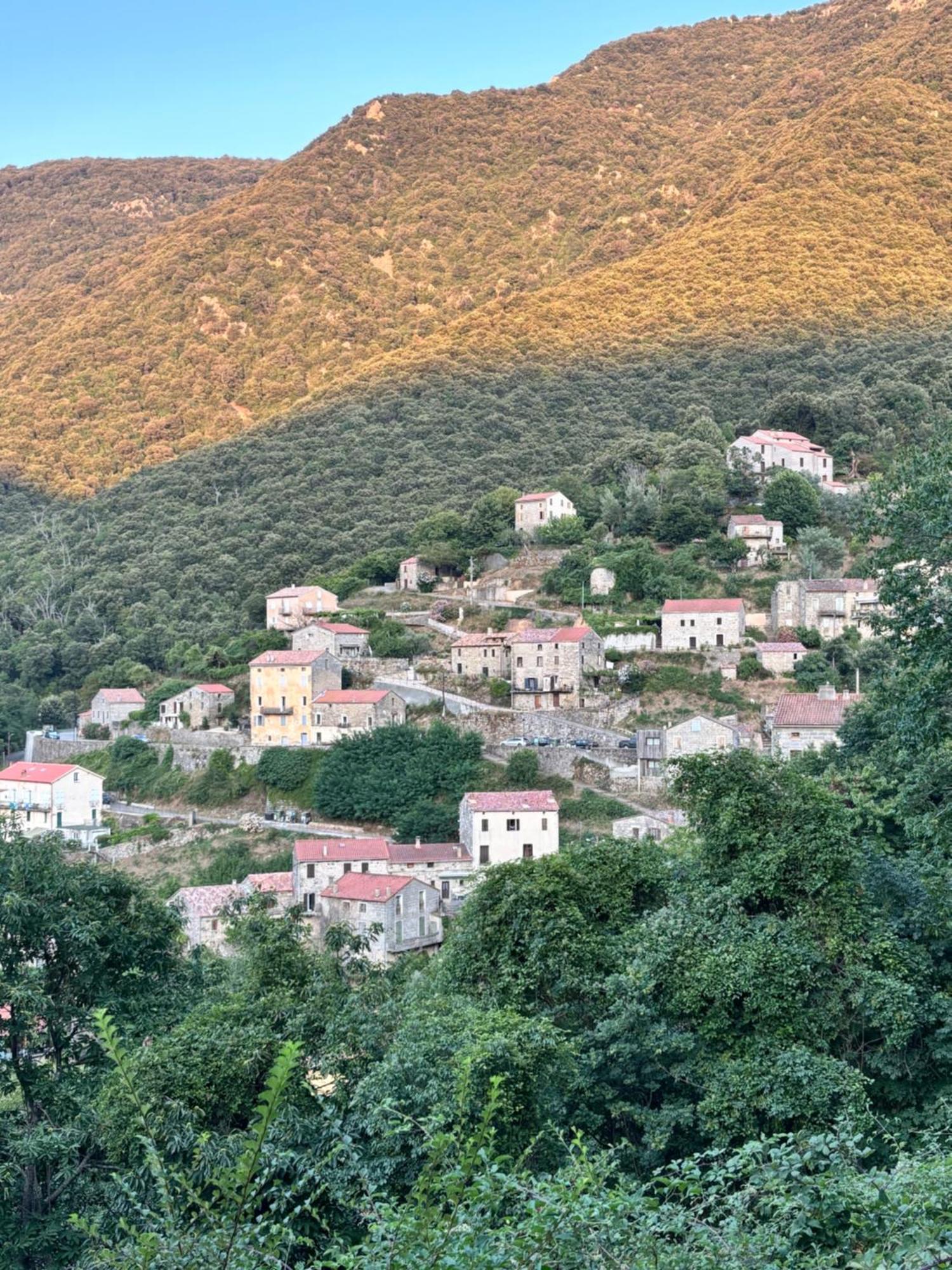 Casa Arena Authentique Maison De Village Avec Piscine Au Coeur De L'Alta Rocca - Zoza Extérieur photo